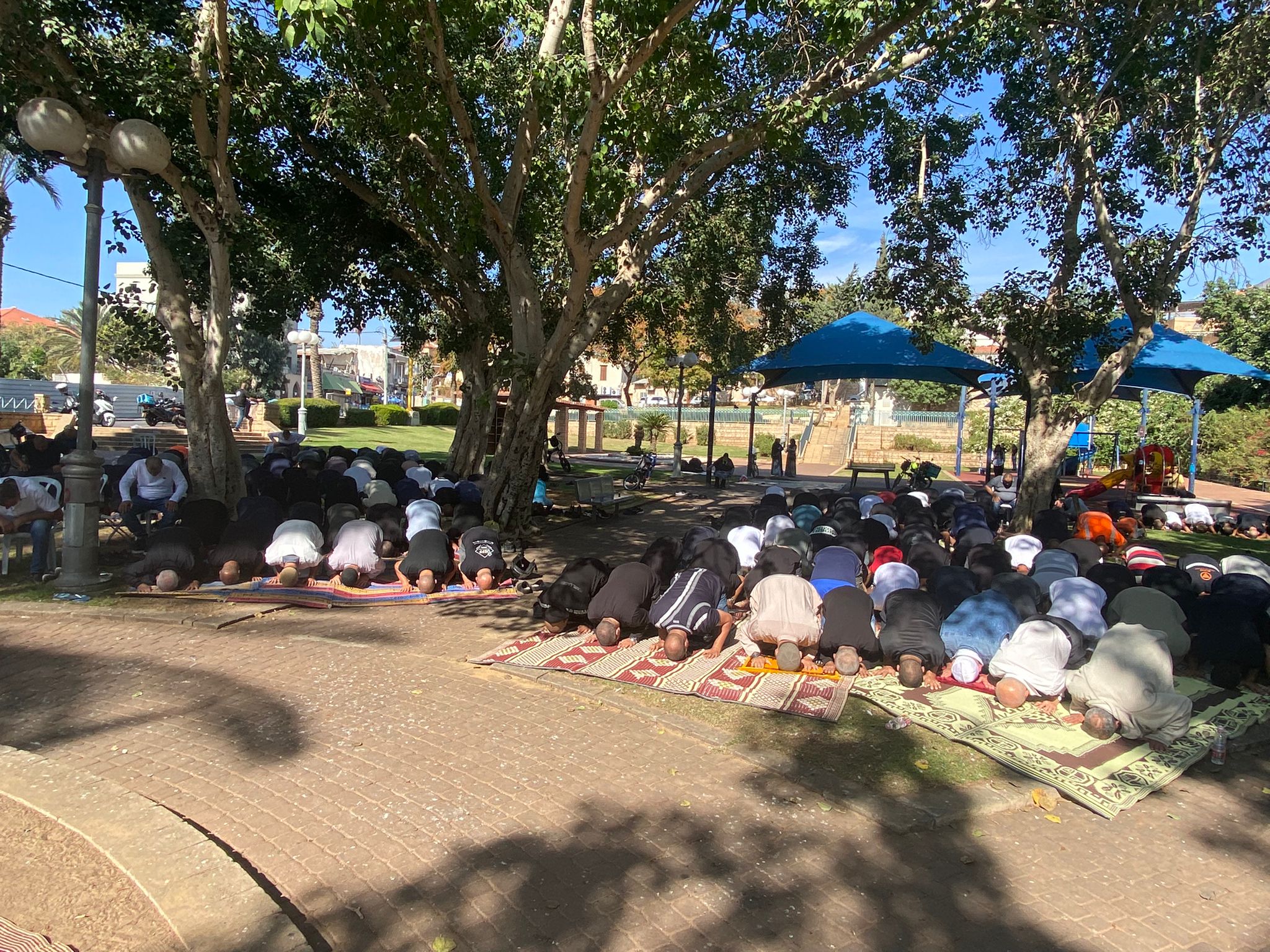 WhatsApp Image 2021-11-12 at 12.06.28 PM.jpeg